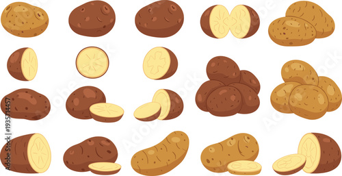 Cartoon potato vector set with whole, sliced, and halved designs, colorful vegetable illustrations for food, farming, culinary, and educational artwork