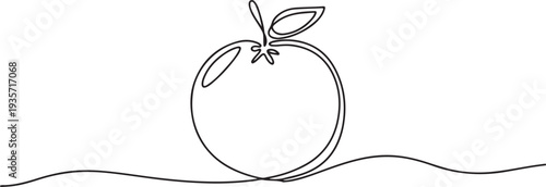 Continuous one line drawing of fresh orange fruit.one line vector illustration with white background
