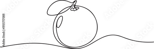 Continuous one line drawing of fresh orange fruit.one line vector illustration with white background