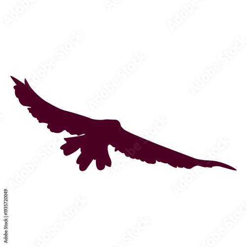 Flying bird sequence silhouette