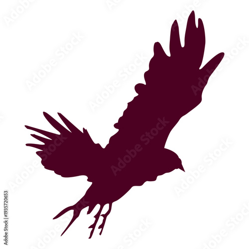 Eagle flying sequence 5