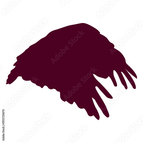 Eagle flying sequence 7