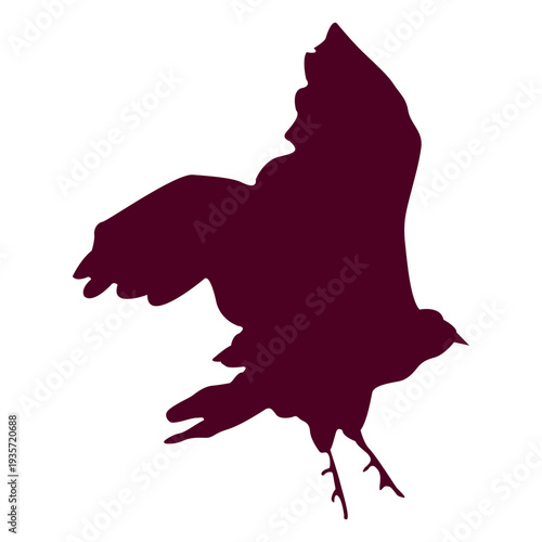 Eagle flying sequence 9