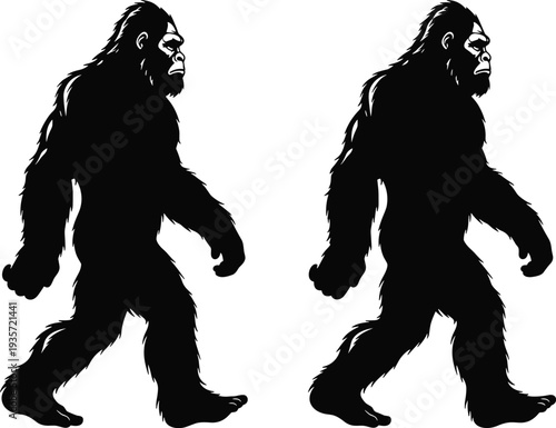 Bigfoot sasquatch silhouette, walking pair cryptid creature, mythical forest legend, hairy giant ape, black vector illustration, isolated side view, mystery folklore icon