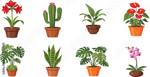 Indoor Potted Flower and Houseplant Collection with Cactus Monstera Snake Plant Orchid and Tropical Decorative Plants Vector Illustration Set.