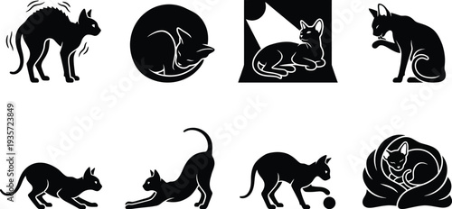 Various playful cat silhouette illustrations featuring different poses and actions