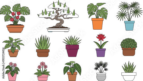 Indoor Potted Houseplants and Bonsai Tree Collection with Monstera Succulents Flowers and Decorative Home Garden Plants Vector Illustration Set.