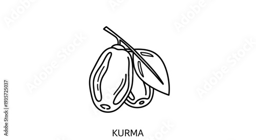 Simple Line Drawing of Kurma Dates.