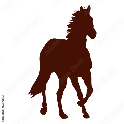 Front horse farm running silhouette