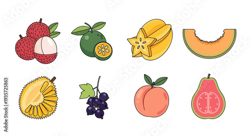 Assorted tropical fruit collection illustration
