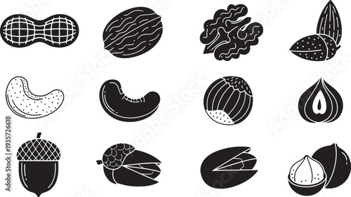 Assorted nuts and seeds illustration featuring acorns, almonds, and walnuts in various styles on a clean background from a straightforward viewpoint