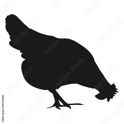 Hen silhouette 1