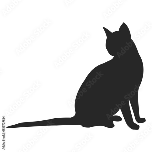 Shorthair cat sitting 1