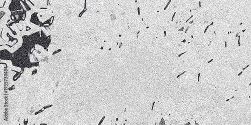 Abstract grayscale macro texture with irregular dark shapes and fine granular speckles creating a unique organic pattern suitable for backgrounds and design elements