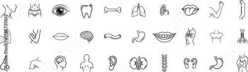 Ancient egyptian hieroglyphics symbols and characters on a white background