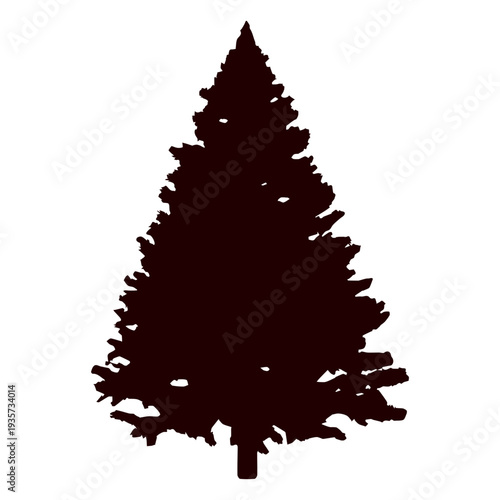 Spruce tree silhouette