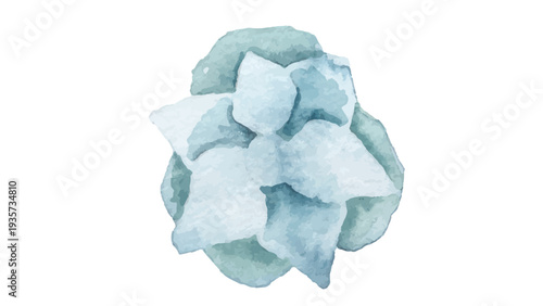 Beautiful Watercolor Blue Succulent Plant Illustration Isolated on White Background