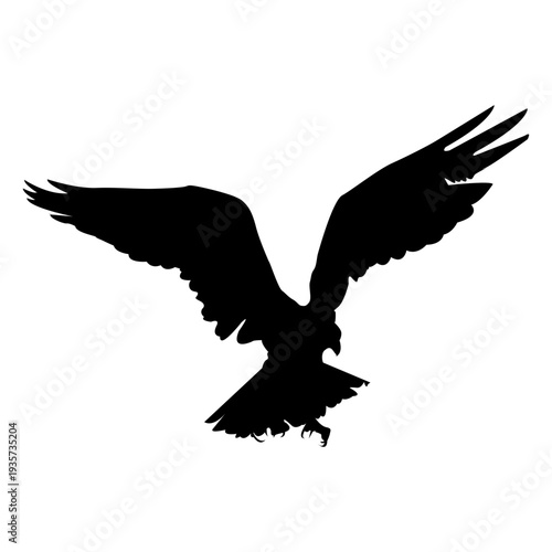 Eagle catching prey silhouette