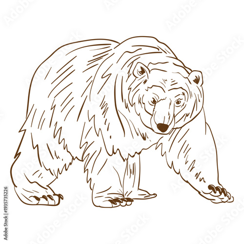 Elder brown bear stroke cartoon