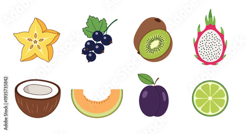 Assortment of exotic fruit illustrations