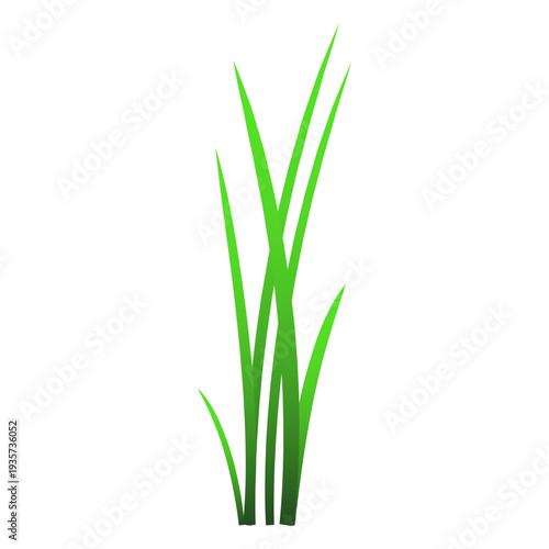 Grass blades illustration