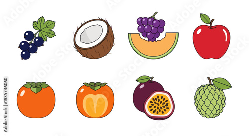 Assortment of fresh fruits isolated on white