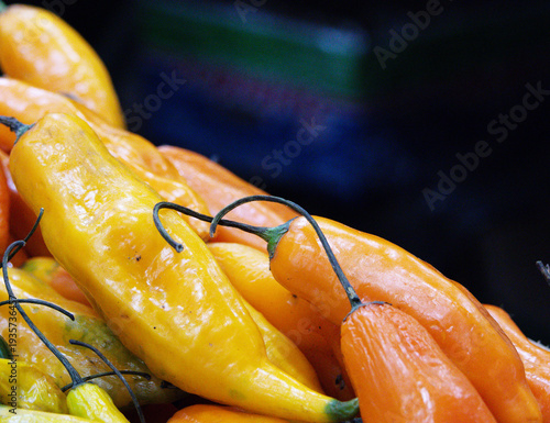 A vibrant close-up displays fresh yellow and orange Aji Amarillo chili peppers.