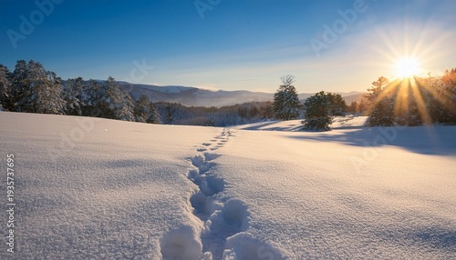 footsteps in snow