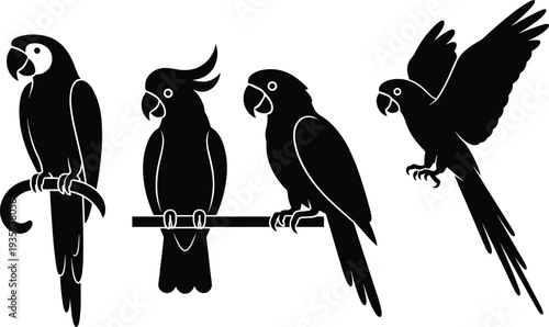 Parrot silhouette set, tropical bird collection with macaw and cockatoo, perched and flying parrot icons, exotic wildlife vector illustration bundle
