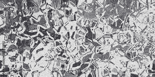Intricate monochrome abstract background with a complex network of interconnected lines and granular noise, suggesting a biological or digital pattern