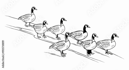 A flock of seven geese walks in single file across a white surface