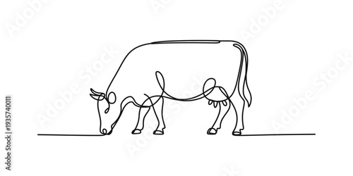 A minimalist continuous single line art drawing of a grazing dairy cow against a white background Vector, illustration