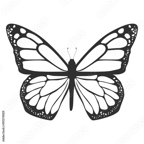 Photos Monarch butterfly top view silhouette