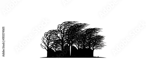 Silhouette of dense trees with intricate branches against a white background