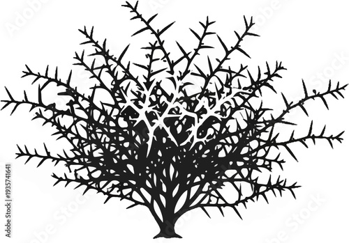 Stylized silhouette of a spiky bush with intricate, branching patterns against a white background