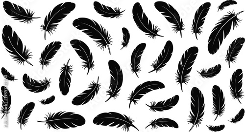 Black feather silhouette collection arranged randomly on white background, decorative nature illustration for design, pattern, and artistic concepts