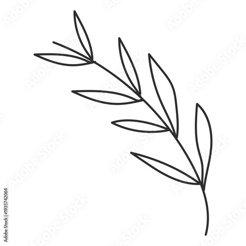 Branch leaf sketch