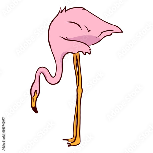 Flamingo beak leg illustration