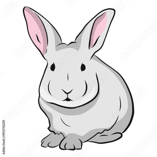 Rabbit muzzle ear illustration