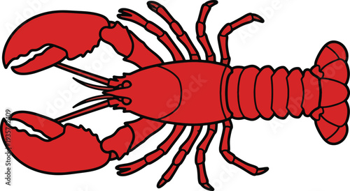 Red lobster illustration for seafood or restaurant use