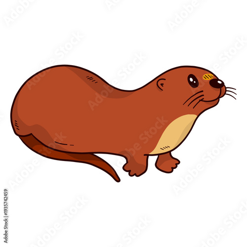 Cute otter river otter tail muzzle flat