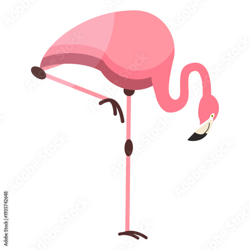 Flamingo beak pink leg flat