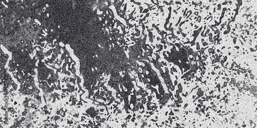 Organic abstract monochromatic texture with fluid shapes and speckled noise, resembling cellular structures or natural patterns for unique design backgrounds