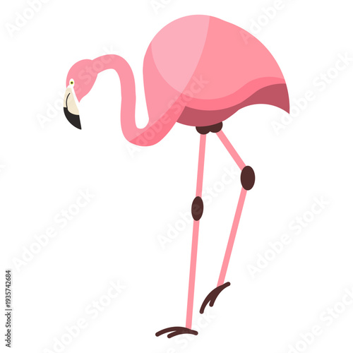 Flamingo pink beak leg flat