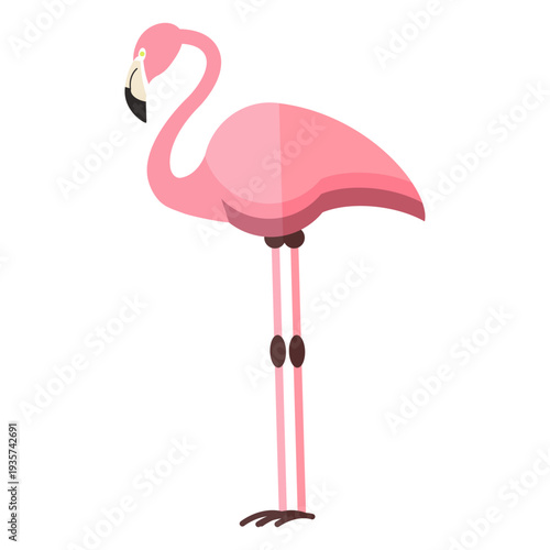 Flamingo leg beak pink flat