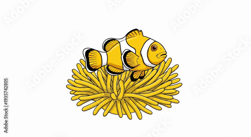 Orange and white clownfish rests in bright yellow sea anemone