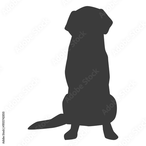 Dog puppy ear tail silhouette