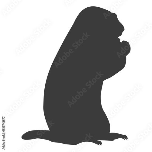 Ground hog marmot muzzle silhouette