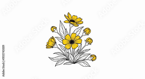 A drawing of yellow flowers and buds with leaves on a white background