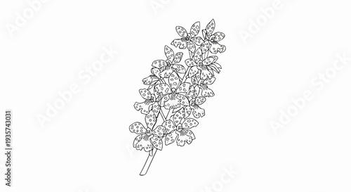 A detailed black and white sketch of a blooming spotted flower stalk